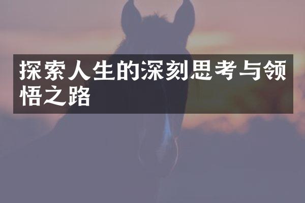 探索人生的深刻思考与领悟之路
