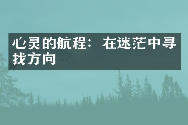 心灵的航程：在迷茫中寻找方向