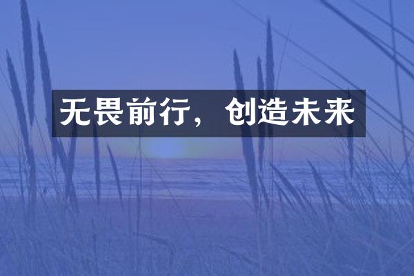 无畏前行，创造未来