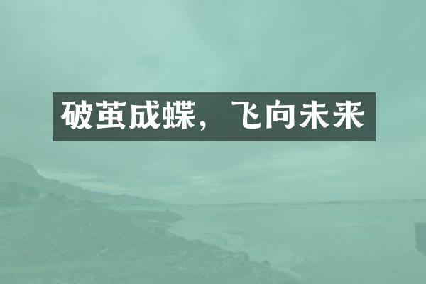 破茧成蝶，飞向未来