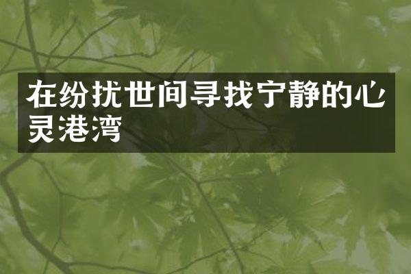在纷扰世间寻找宁静的心灵港湾