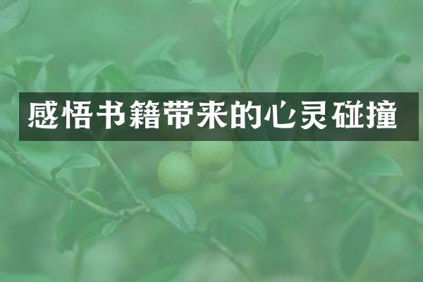感悟书籍带来的心灵碰撞