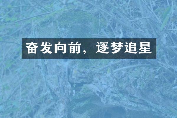 奋发向前，逐梦追星