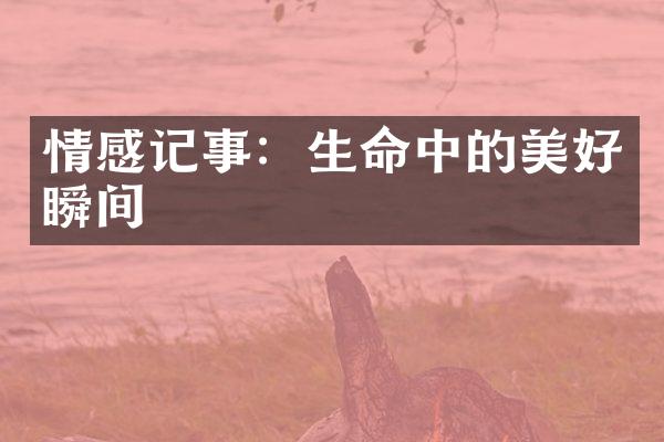 情感记事：生命中的美好瞬间