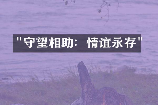 "守望相助：情谊永存"