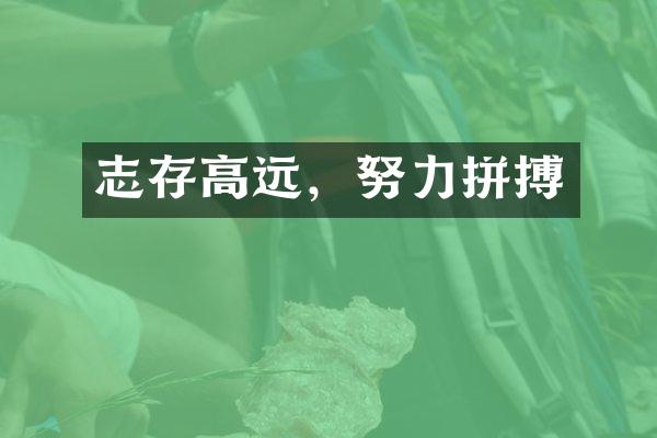 志存高远，努力拼搏