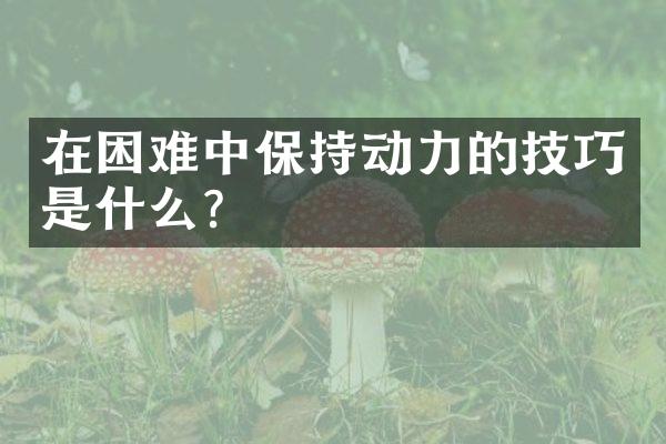 在困难中保持动力的技巧是什么？