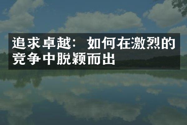 追求卓越：如何在激烈的竞争中脱颖而出