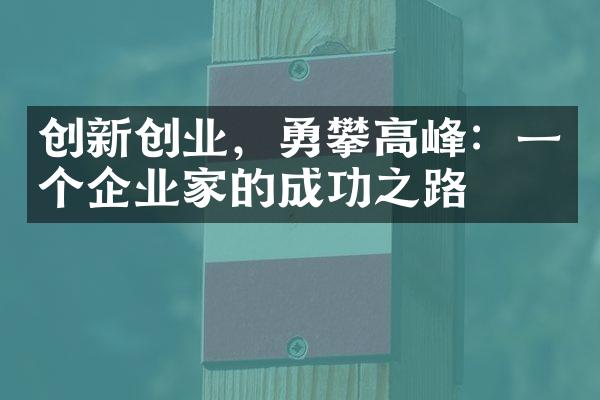 创新创业，勇攀高峰：一个企业家的成功之路