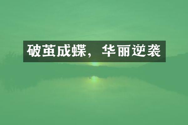 破茧成蝶，华丽逆袭