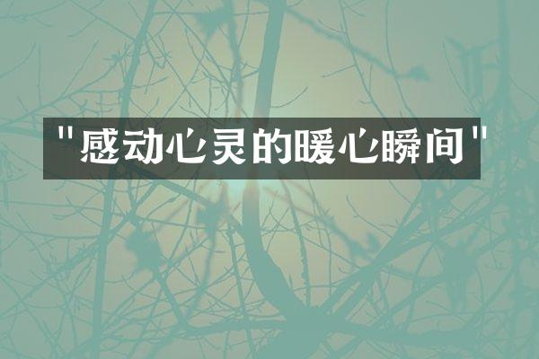 "感动心灵的暖心瞬间"