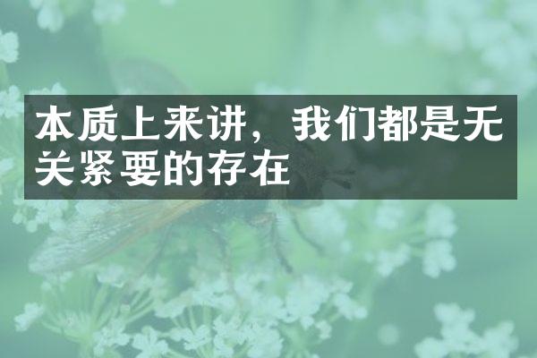 本质上来讲，我们都是无关紧要的存在