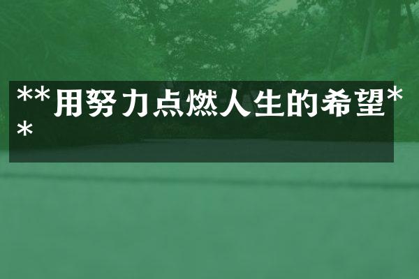 **用努力点燃人生的希望**