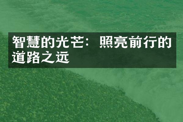 智慧的光芒：照亮前行的道路之远