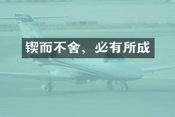 锲而不舍，必有所成