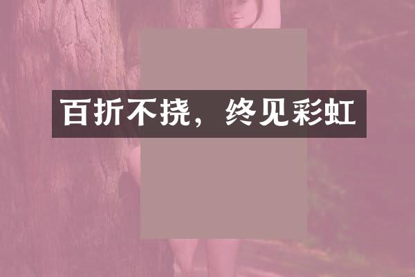 百折不挠，终见彩虹