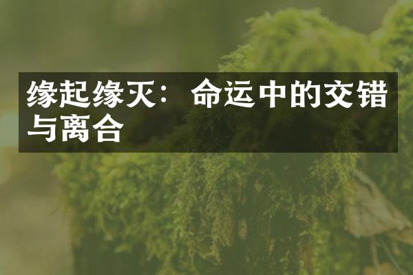 缘起缘灭：命运中的交错与离合