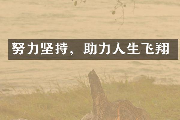 努力坚持，助力人生飞翔