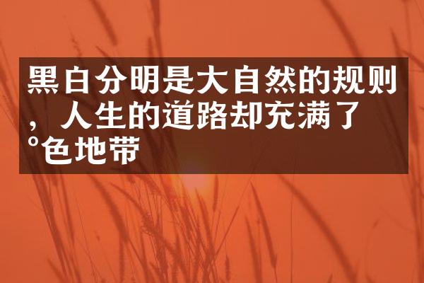 黑白分明是大自然的规则，人生的道路却充满了灰色地带