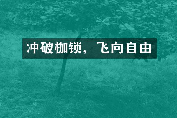 冲破枷锁，飞向自由