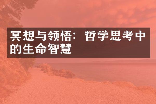 冥想与领悟：哲学思考中的生命智慧