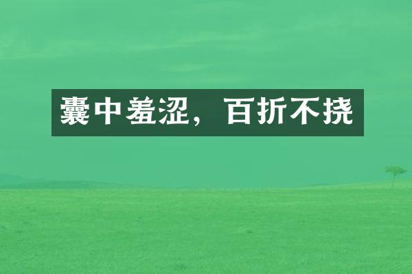 囊中羞涩，百折不挠