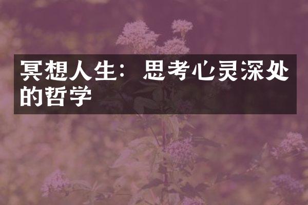 冥想人生：思考心灵深处的哲学