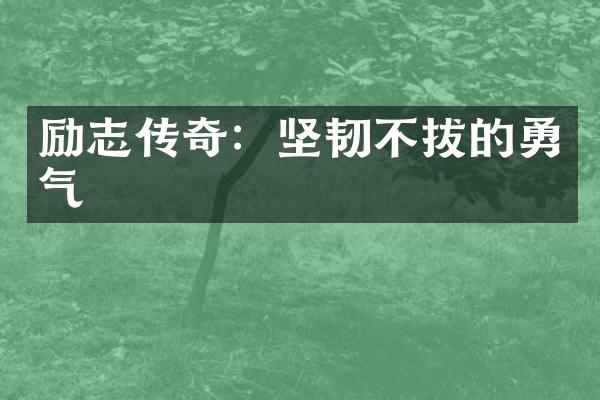 励志传奇：坚韧不拔的勇气