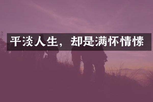 平淡人生，却是满怀情愫