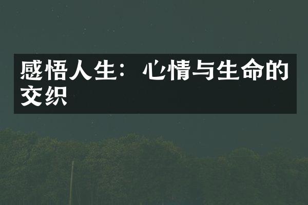 感悟人生：心情与生命的交织