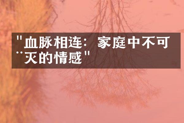 "血脉相连：家庭中不可磨灭的情感"