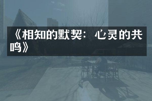 《相知的默契：心灵的共鸣》