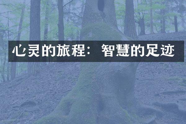 心灵的旅程：智慧的足迹