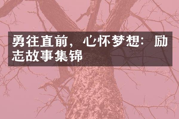 勇往直前，心怀梦想：励志故事集锦