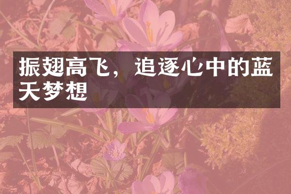 振翅高飞，追逐心中的蓝天梦想