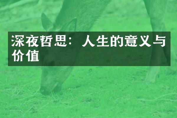 深夜哲思：人生的意义与价值