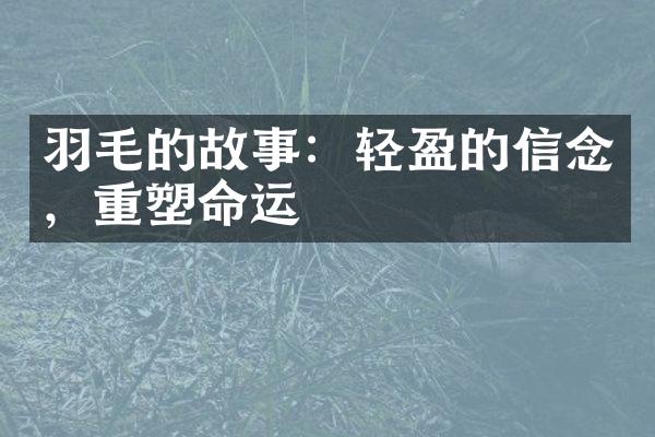 羽毛的故事：轻盈的信念，重塑命运