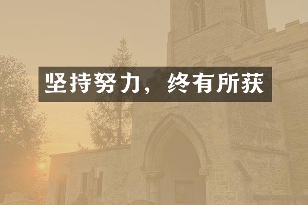 坚持努力，终有所获