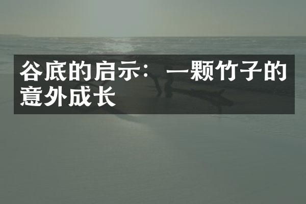 谷底的启示：一颗竹子的意外成长
