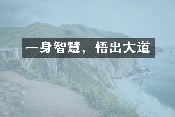 一身智慧，悟出大道