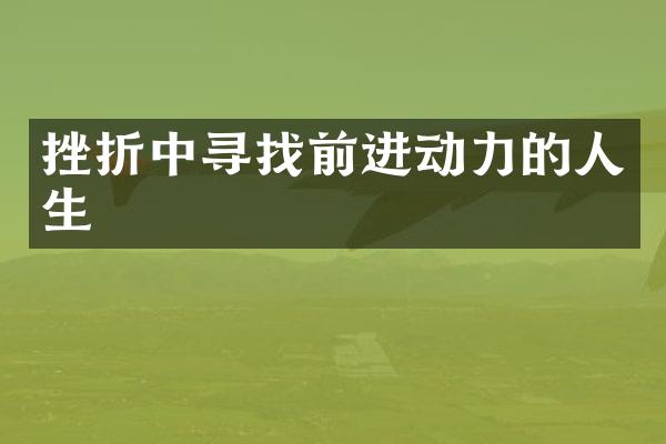 挫折中寻找前进动力的人生