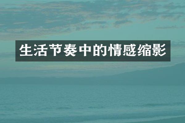 生活节奏中的情感缩影