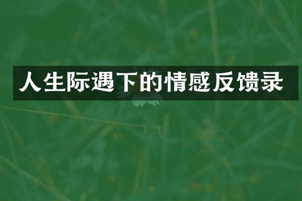 人生际遇下的情感反馈录