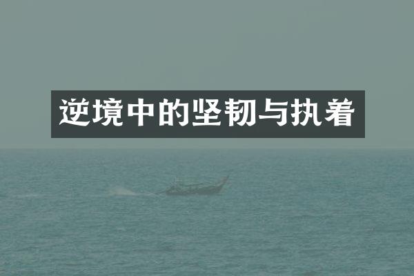 逆境中的坚韧与执着