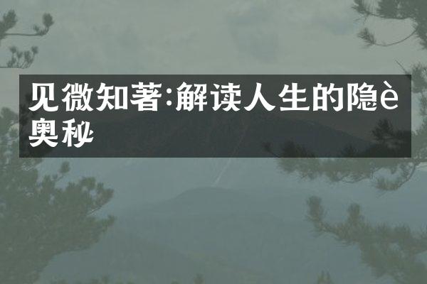 见微知著:解读人生的隐藏奥秘