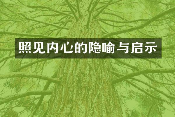 照见内心的隐喻与启示