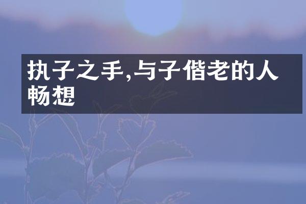 执子之手,与子偕老的人生畅想