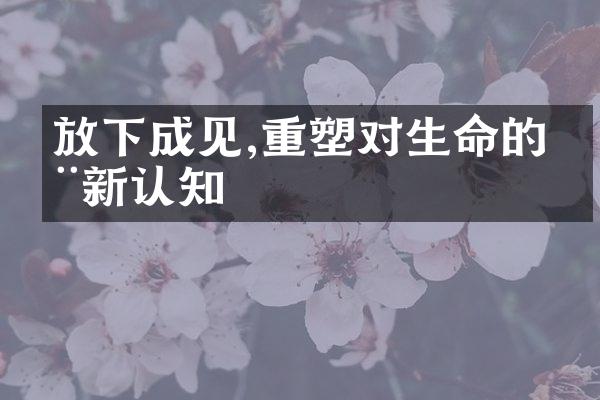 放下成见,重塑对生命的全新认知