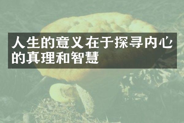 人生的意义在于探寻内心的真理和智慧