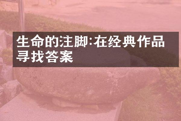 生命的注脚:在经典作品中寻找答案